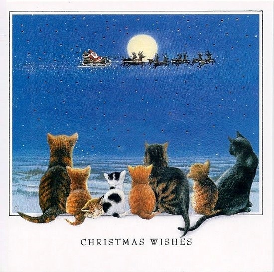 Weihnachtskarte quadr. Cat Tales