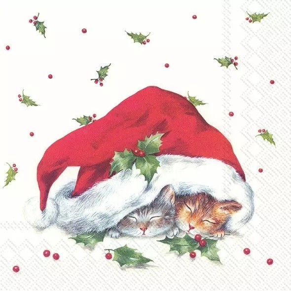 Napkins Sweet Christmas Cats