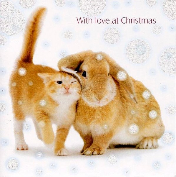 Weihnachtskarte quadr. Christmas Companions