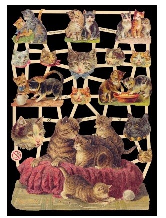 Glanzbild Kitten, 1 Bogen