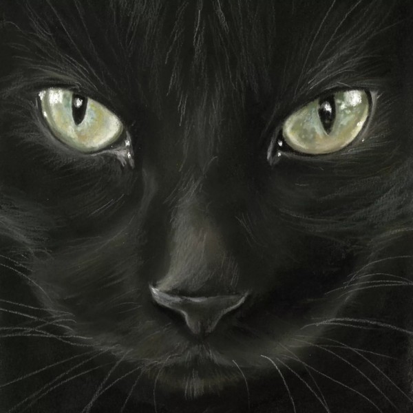 Servietten Black Cat