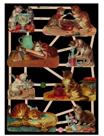 Glanzbild Neugierige Katzen, 1 Bogen